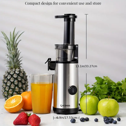 Compact Masticating Juicer